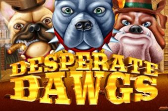 Desperate Dawgs